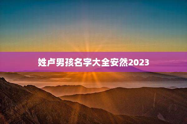 姓卢男孩名字大全安然2023