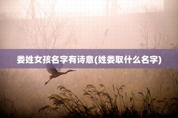 娄姓女孩名字有诗意(姓娄取什么名字)
