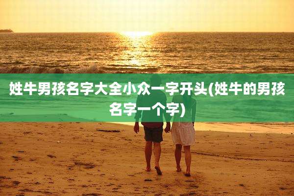 姓牛男孩名字大全小众一字开头(姓牛的男孩名字一个字)