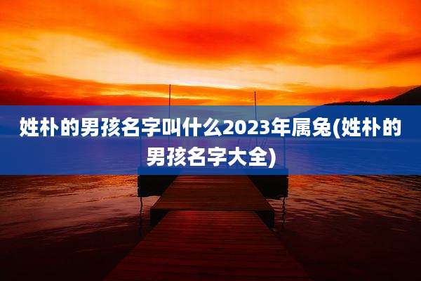姓朴的男孩名字叫什么2023年属兔(姓朴的男孩名字大全)