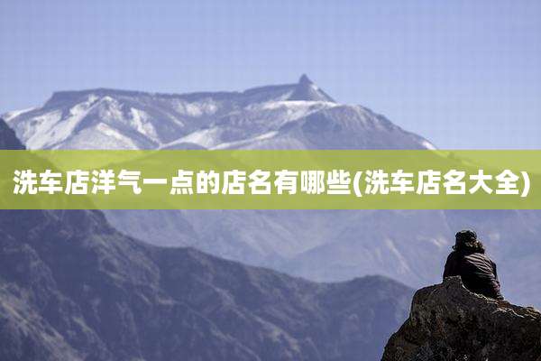 洗车店洋气一点的店名有哪些(洗车店名大全)