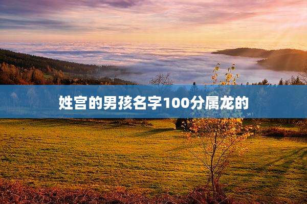 姓宫的男孩名字100分属龙的