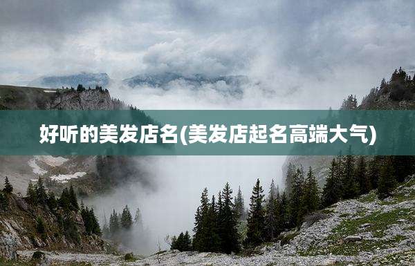 好听的美发店名(美发店起名高端大气)