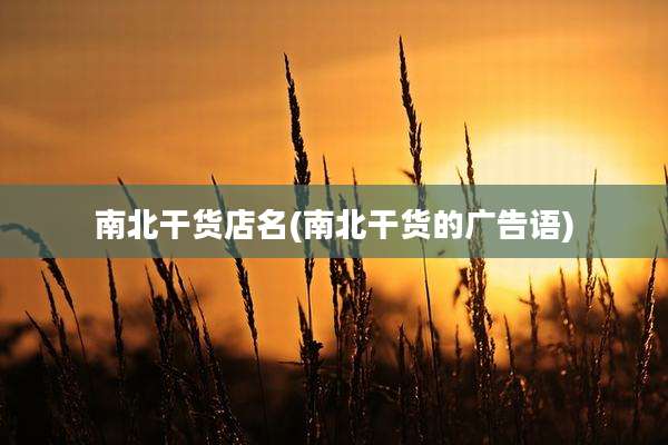 南北干货店名(南北干货的广告语)