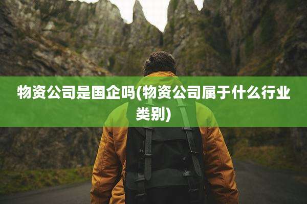 物资公司是国企吗(物资公司属于什么行业类别)