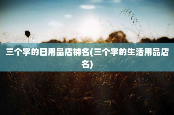 三个字的日用品店铺名(三个字的生活用品店名)
