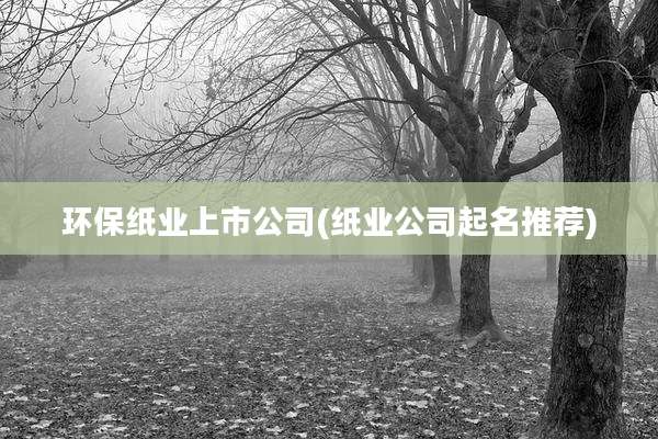 环保纸业上市公司(纸业公司起名推荐)