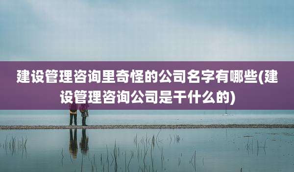 建设管理咨询里奇怪的公司名字有哪些(建设管理咨询公司是干什么的)