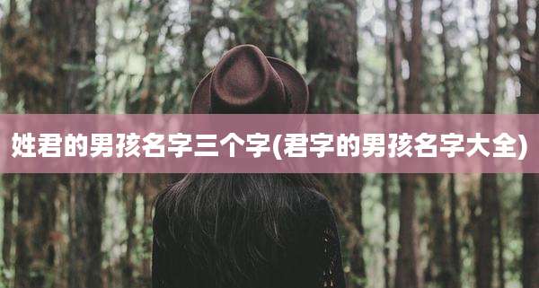姓君的男孩名字三个字(君字的男孩名字大全)