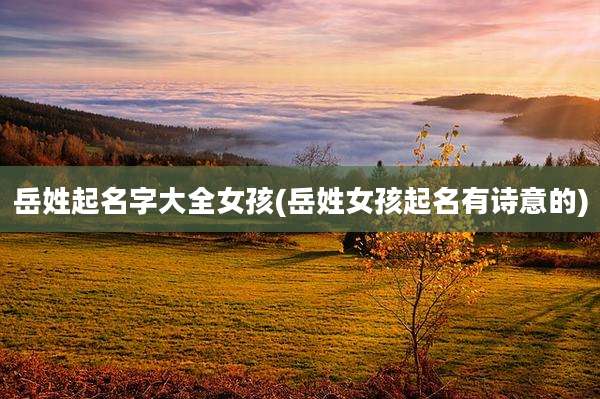 岳姓起名字大全女孩(岳姓女孩起名有诗意的)