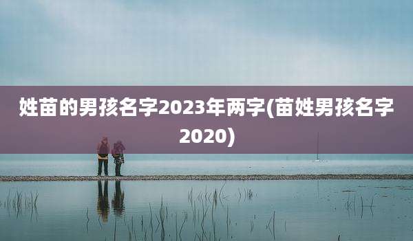 姓苗的男孩名字2023年两字(苗姓男孩名字2020)