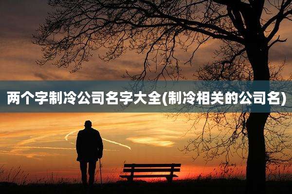 两个字制冷公司名字大全(制冷相关的公司名)