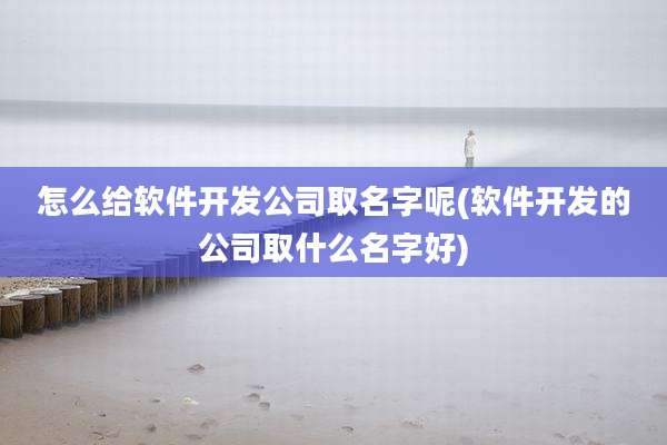 怎么给软件开发公司取名字呢(软件开发的公司取什么名字好)