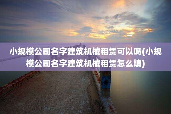 小规模公司名字建筑机械租赁可以吗(小规模公司名字建筑机械租赁怎么填)