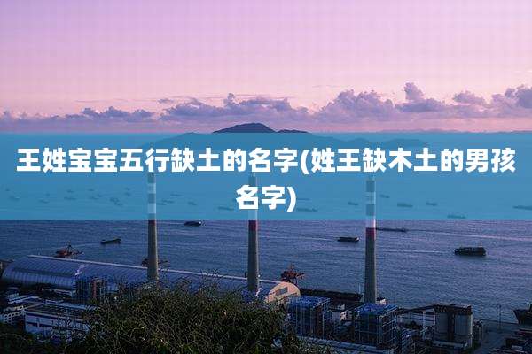 王姓宝宝五行缺土的名字(姓王缺木土的男孩名字)