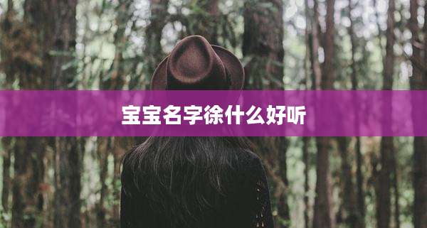 宝宝名字徐什么好听