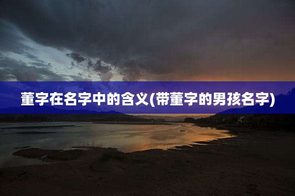 董字在名字中的含义(带董字的男孩名字)