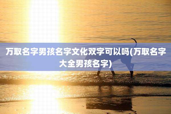 万取名字男孩名字文化双字可以吗(万取名字大全男孩名字)