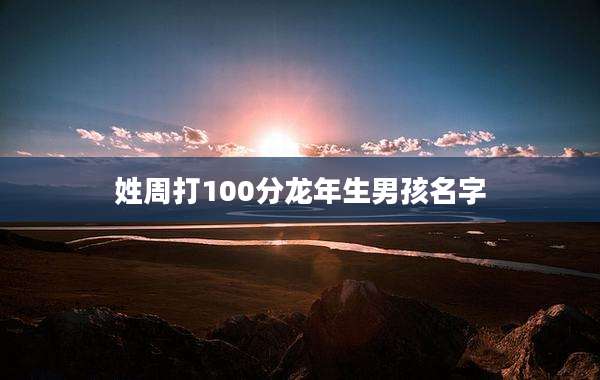 姓周打100分龙年生男孩名字