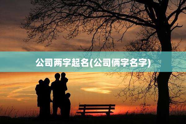 公司两字起名(公司俩字名字)
