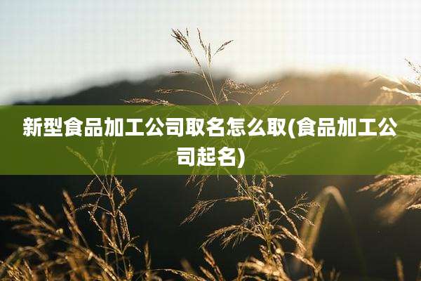 新型食品加工公司取名怎么取(食品加工公司起名)
