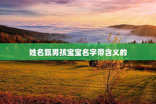 姓名甄男孩宝宝名字带含义的