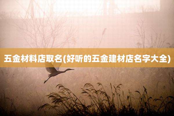 五金材料店取名(好听的五金建材店名字大全)