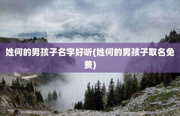 姓何的男孩子名字好听(姓何的男孩子取名免费)