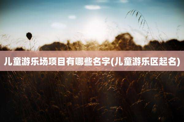 儿童游乐场项目有哪些名字(儿童游乐区起名)