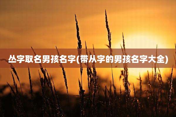 丛字取名男孩名字(带从字的男孩名字大全)
