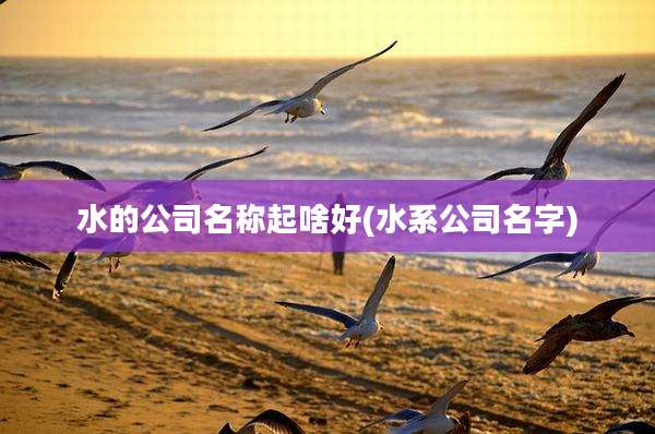 水的公司名称起啥好(水系公司名字)