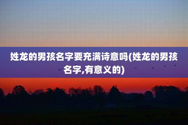 姓龙的男孩名字要充满诗意吗(姓龙的男孩名字,有意义的)