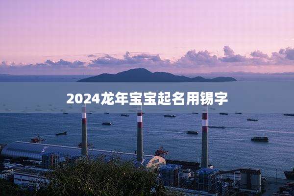 2024龙年宝宝起名用锡字