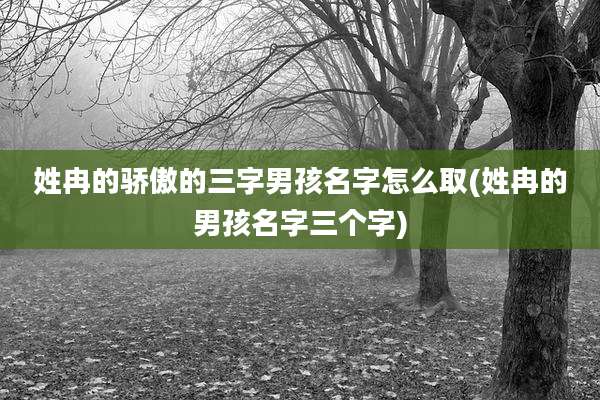 姓冉的骄傲的三字男孩名字怎么取(姓冉的男孩名字三个字)