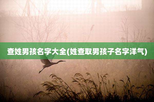 查姓男孩名字大全(姓查取男孩子名字洋气)