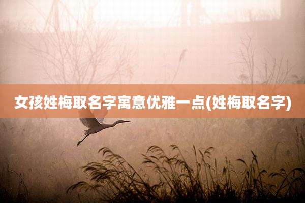 女孩姓梅取名字寓意优雅一点(姓梅取名字)