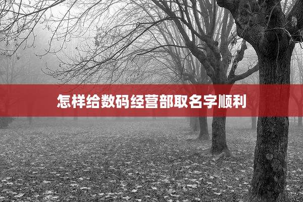 怎样给数码经营部取名字顺利