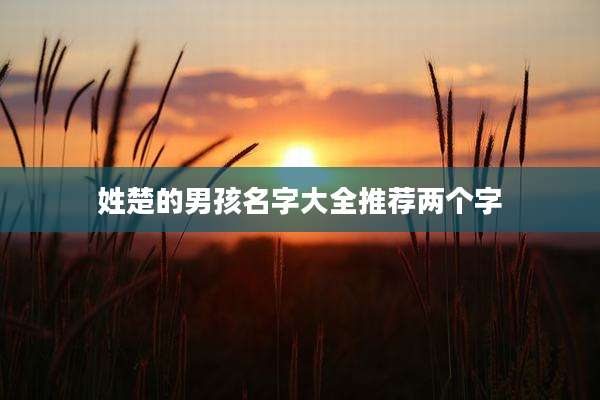 姓楚的男孩名字大全推荐两个字