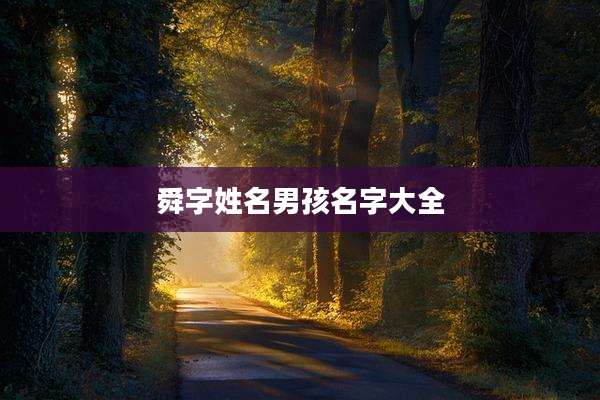 舜字姓名男孩名字大全