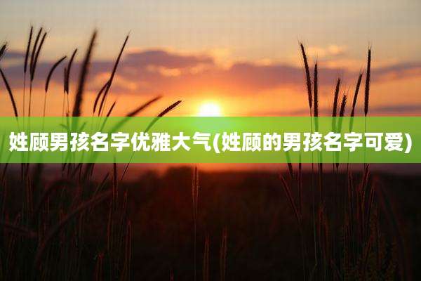 姓顾男孩名字优雅大气(姓顾的男孩名字可爱)