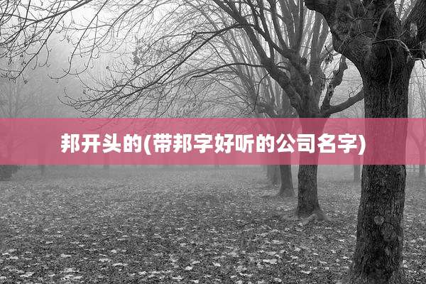 邦开头的(带邦字好听的公司名字)