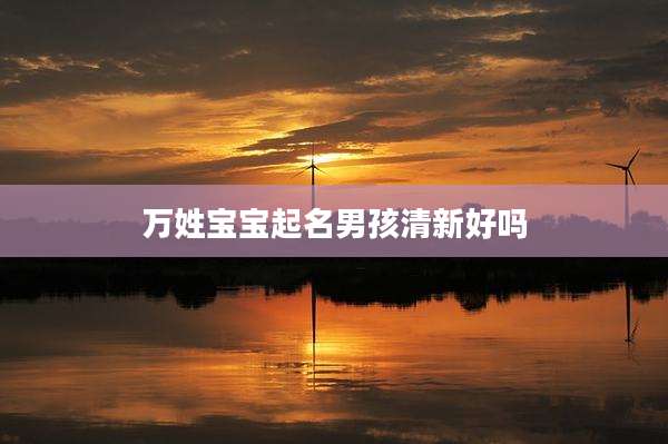万姓宝宝起名男孩清新好吗