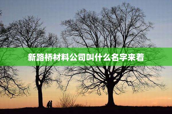 新路桥材料公司叫什么名字来着