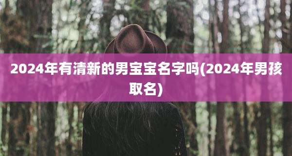 2024年有清新的男宝宝名字吗(2024年男孩取名)