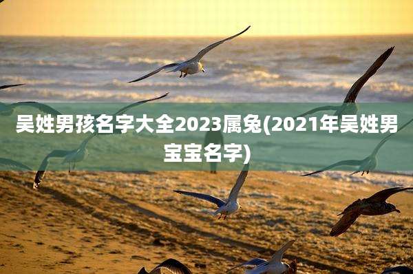 吴姓男孩名字大全2023属兔(2021年吴姓男宝宝名字)