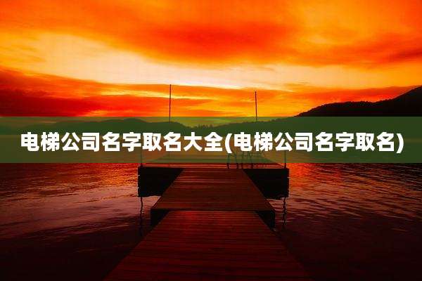 电梯公司名字取名大全(电梯公司名字取名)
