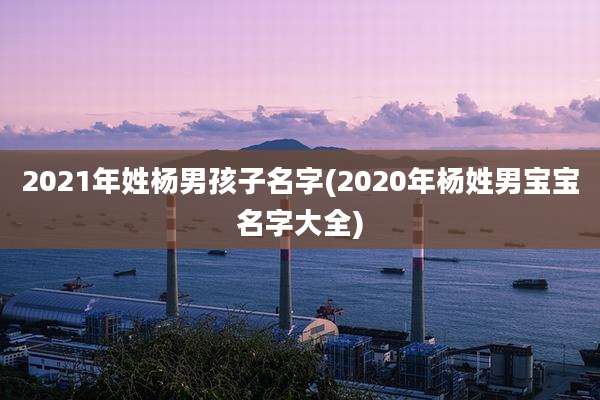 2021年姓杨男孩子名字(2020年杨姓男宝宝名字大全)