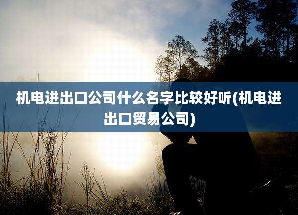 机电进出口公司什么名字比较好听(机电进出口贸易公司)
