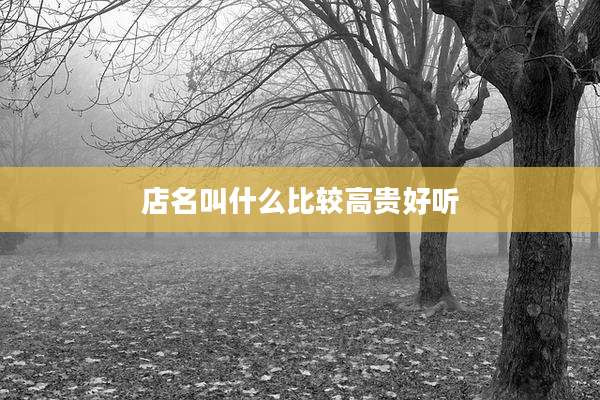 店名叫什么比较高贵好听