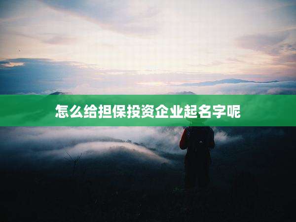 怎么给担保投资企业起名字呢